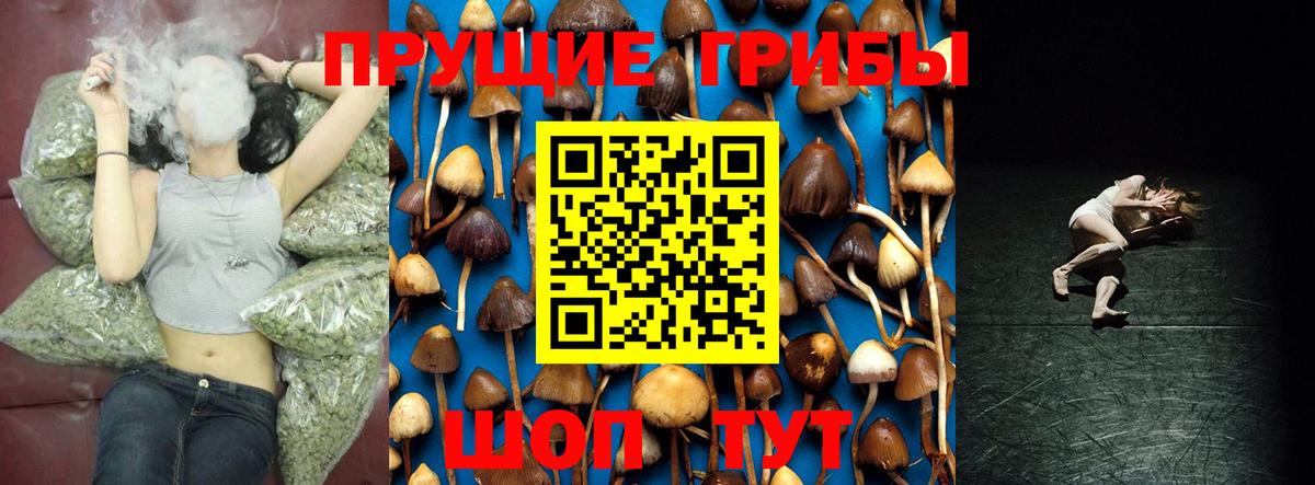 Анапа  Галлюциногенные грибы MAGIC MUSHROOMS  Вход с VPN 